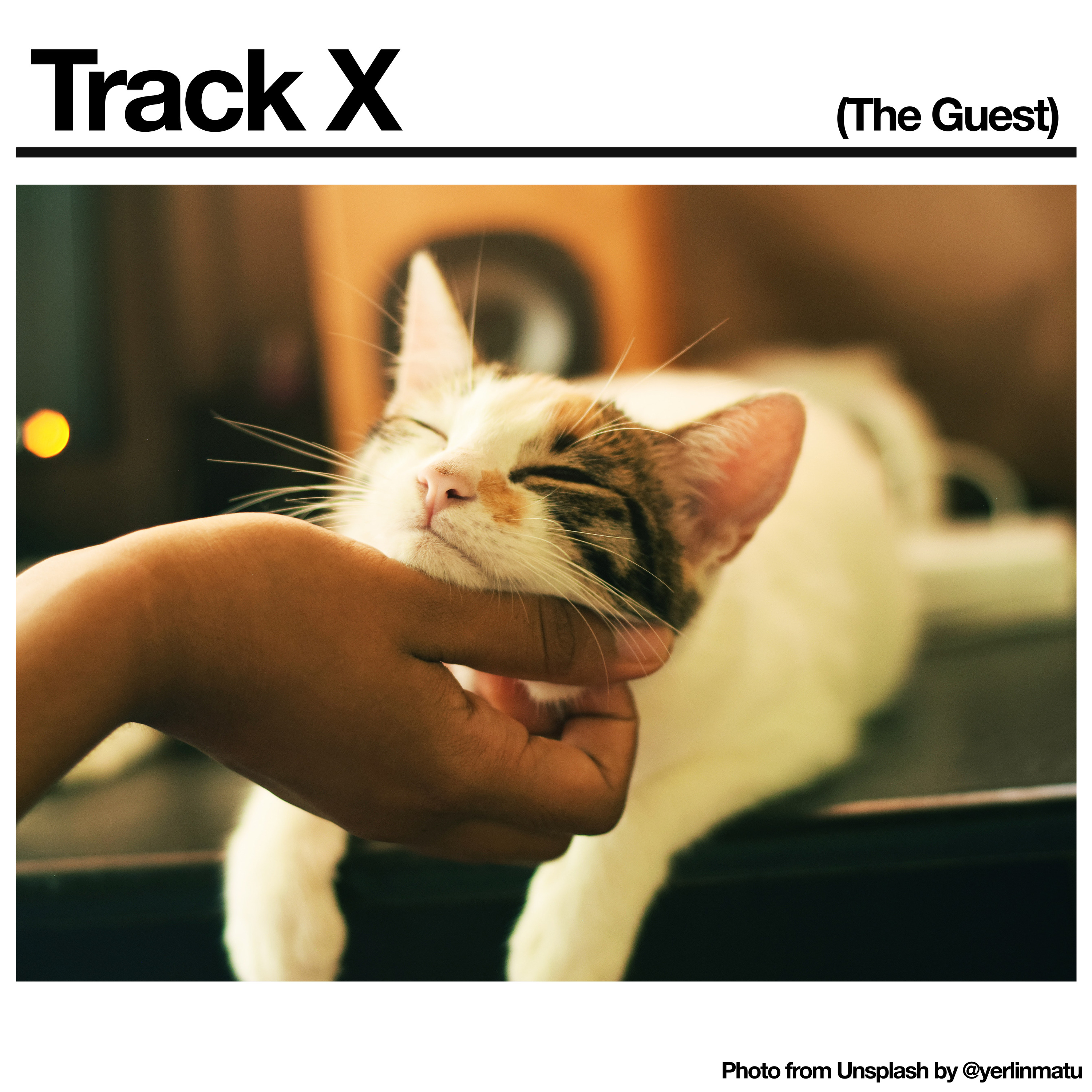 Track X - Black Country, New Road (2021)
